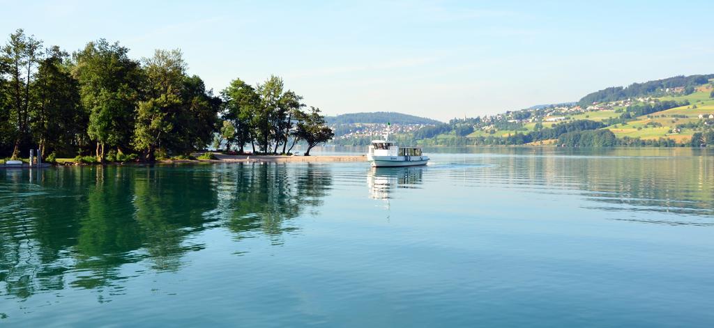 Seehotel Delphin Meisterschwanden Экстерьер фото