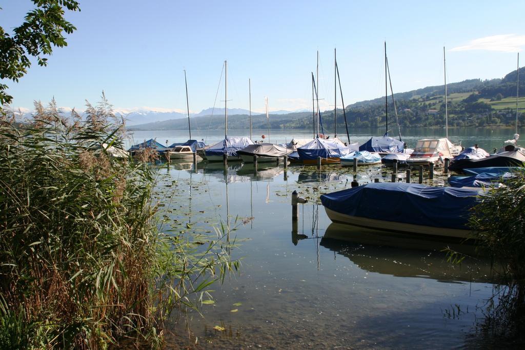 Seehotel Delphin Meisterschwanden Экстерьер фото