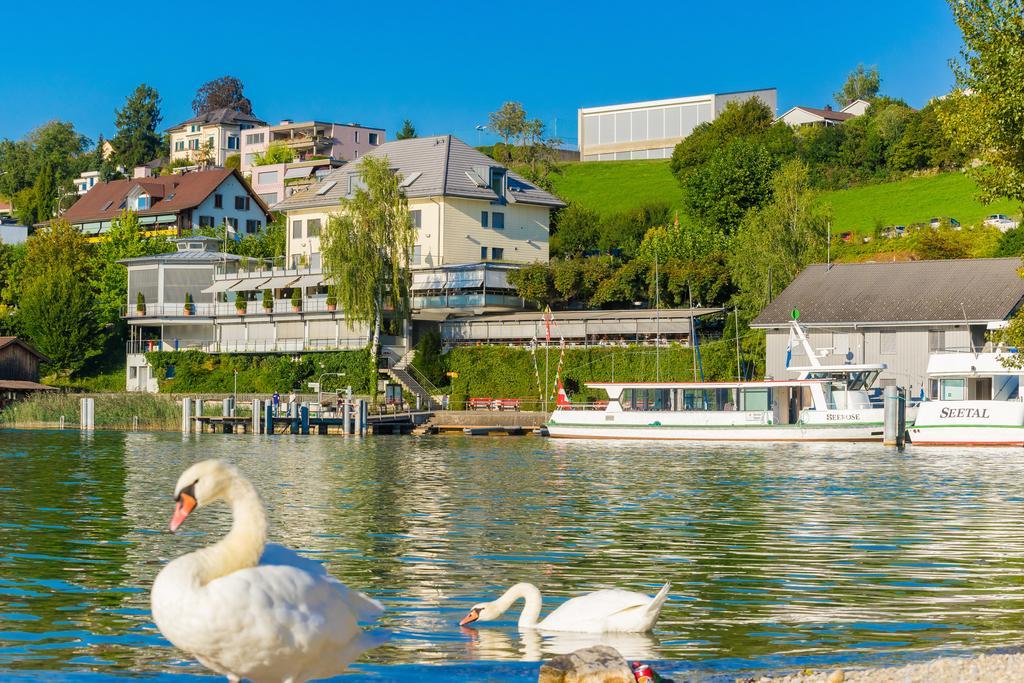 Seehotel Delphin Meisterschwanden Экстерьер фото